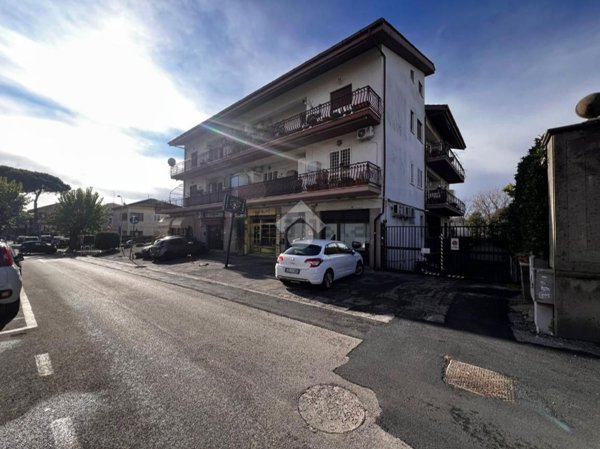 negozio in affitto a Marino in zona Santa Maria delle Mole