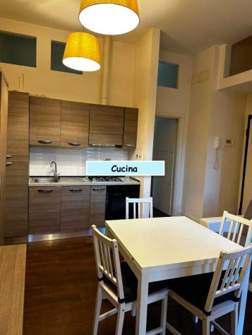 appartamento in affitto a Marino