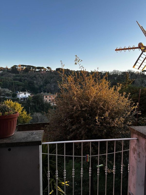 appartamento in affitto a Marino