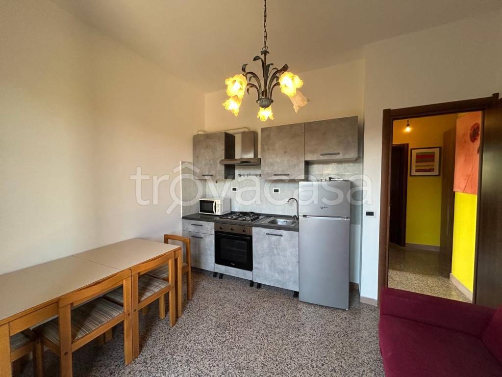 appartamento in affitto a Marino in zona Due Santi