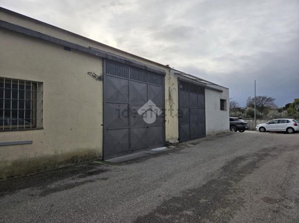 ufficio in affitto a Marino