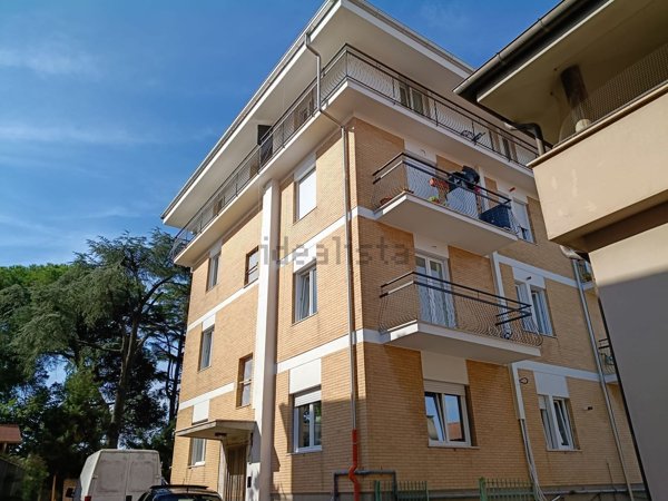 appartamento in affitto a Marino