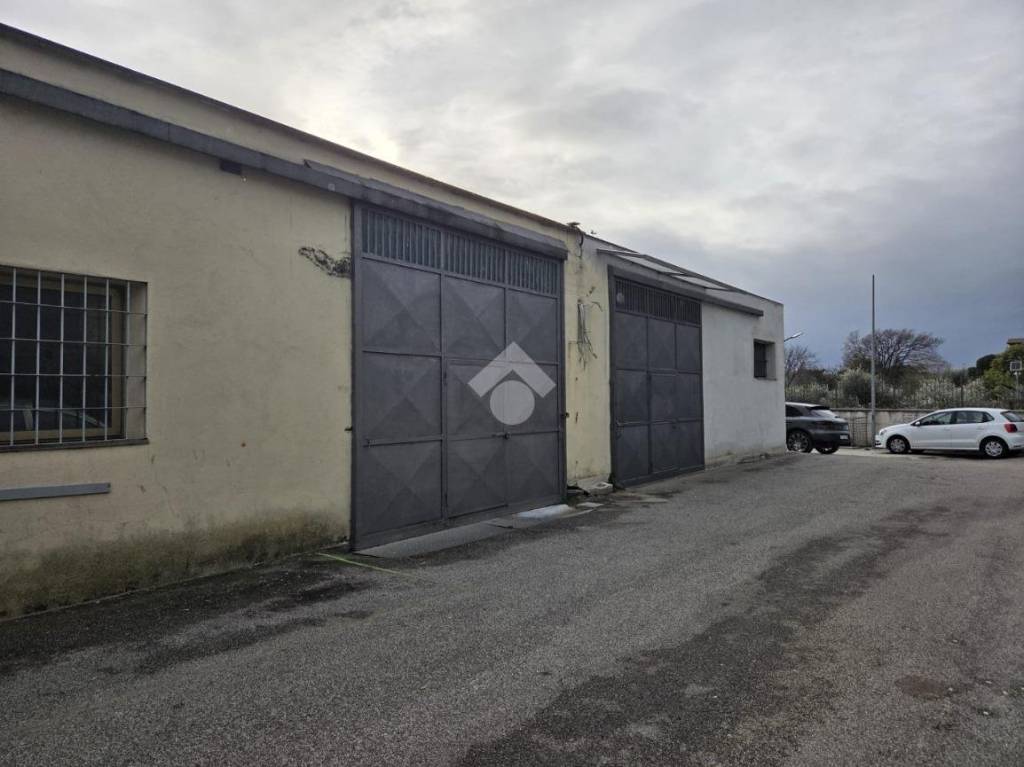 negozio in affitto a Marino