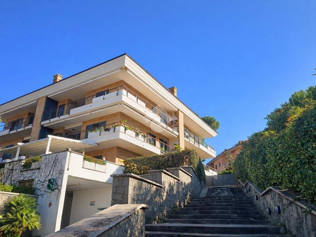 appartamento in affitto a Marino