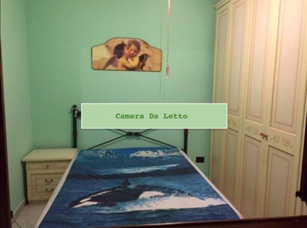 appartamento in affitto a Marino