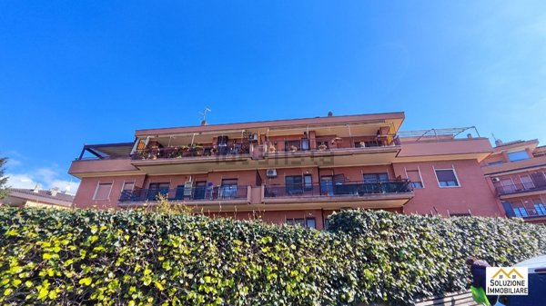 appartamento in affitto a Marino