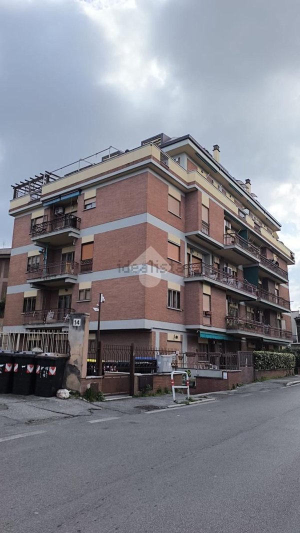 appartamento in affitto a Marino