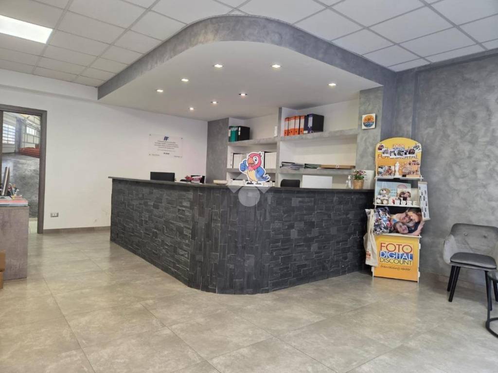 locale commerciale in affitto a Marino in zona Cava dei Selci