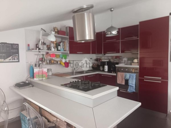 appartamento in affitto a Marino