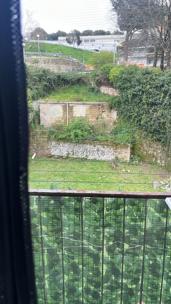 appartamento in affitto a Marino