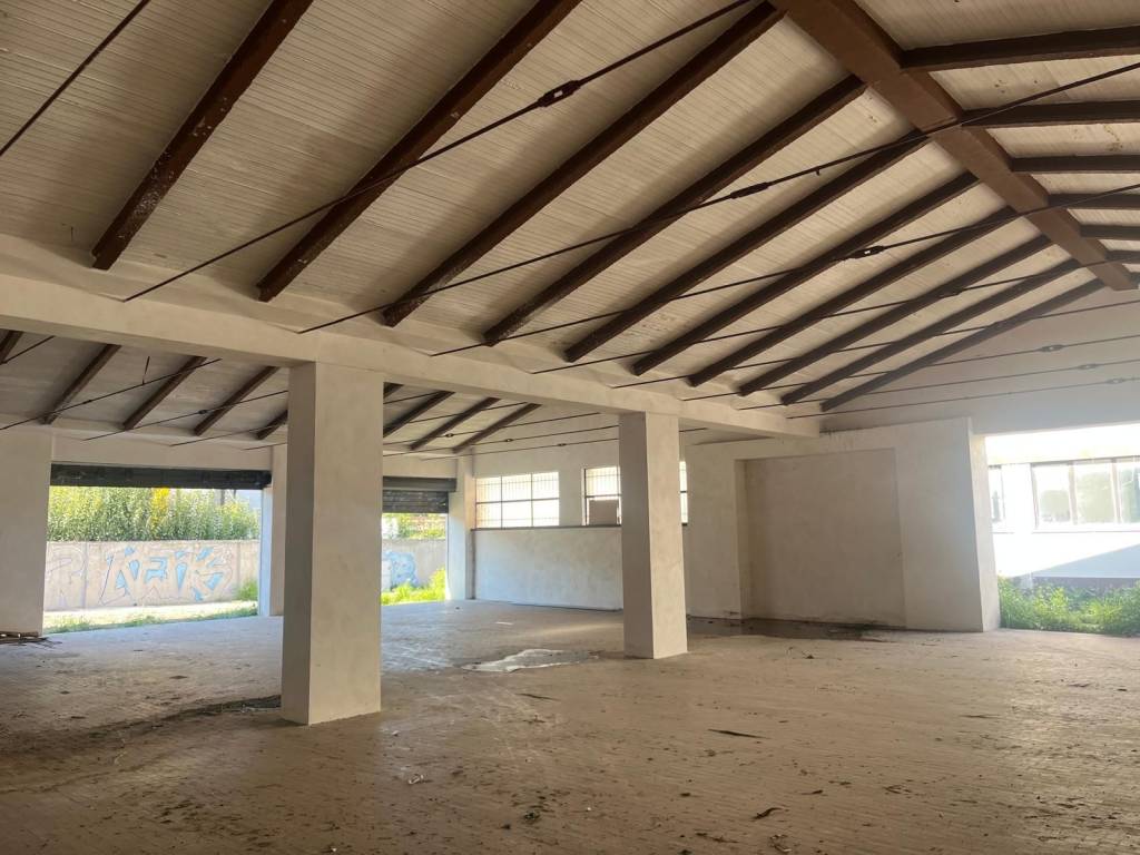 negozio in affitto a Marino in zona Santa Maria delle Mole