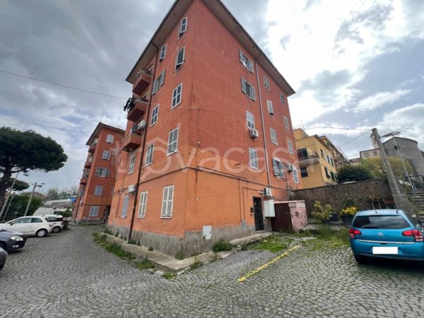 appartamento in affitto a Marino