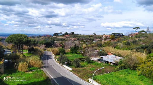 appartamento in affitto a Marino