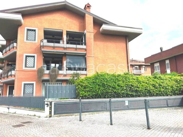 appartamento in affitto a Marino