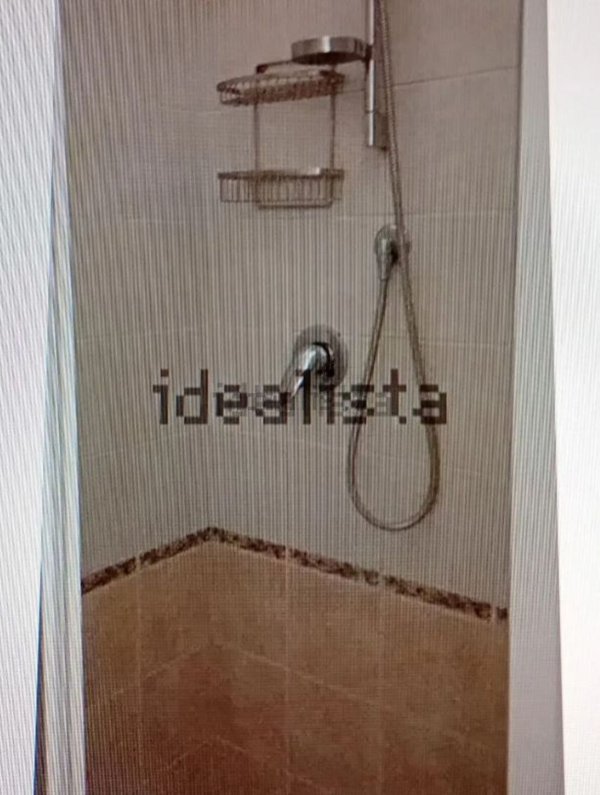 appartamento in affitto a Marino