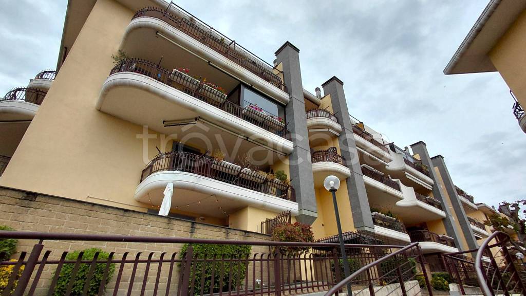 appartamento in affitto a Marino