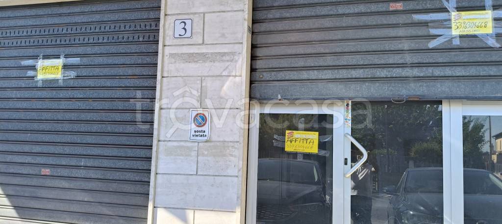 negozio in affitto a Marino in zona Poggio delle Mole