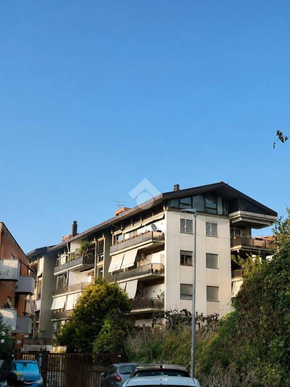 appartamento in affitto a Marino