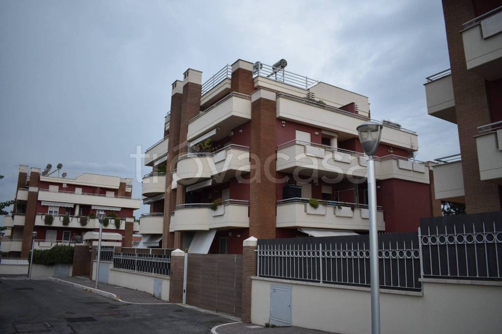 appartamento in affitto a Marino in zona Santa Maria delle Mole
