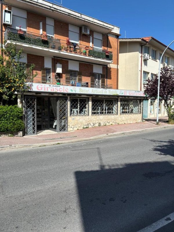 appartamento in affitto a Mentana