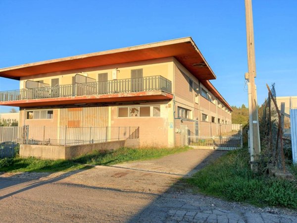 negozio in affitto a Monte Compatri in zona Laghetto
