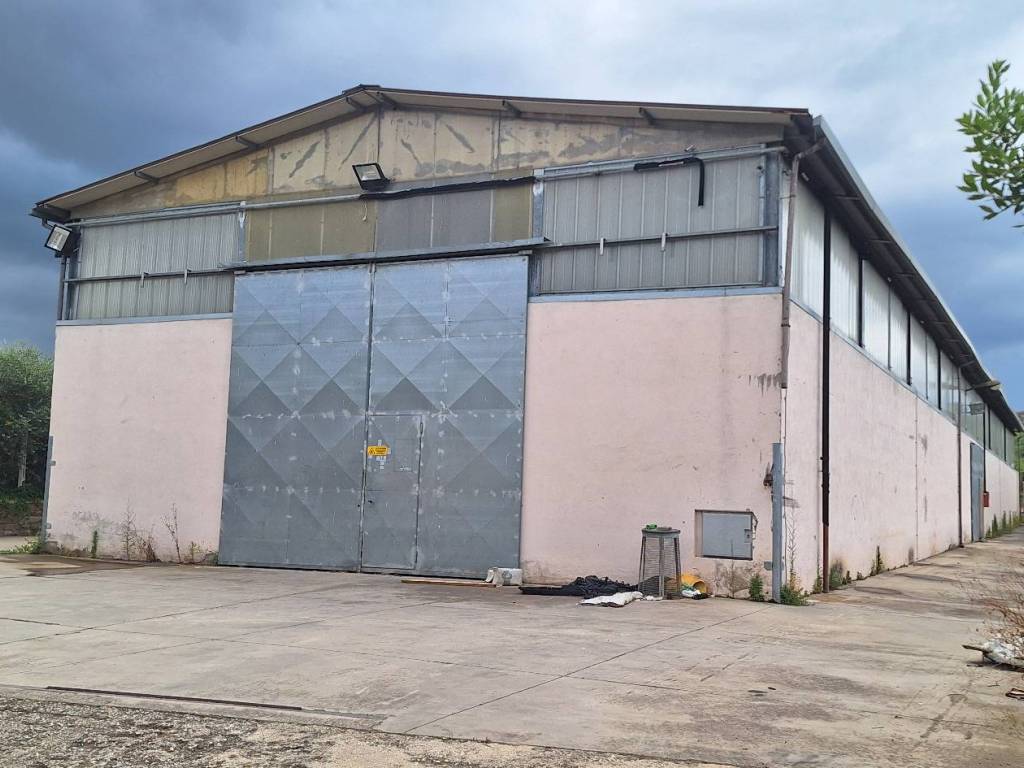 locale commerciale in affitto a Monte Compatri