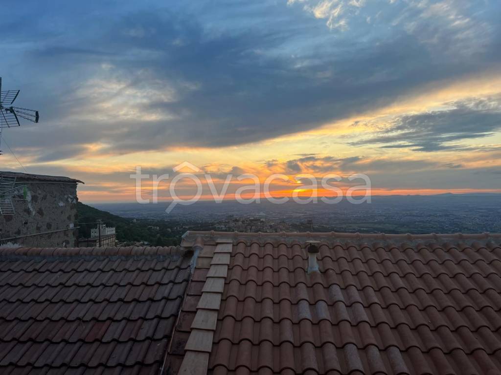 appartamento in affitto a Monte Compatri