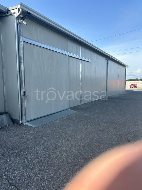 locale commerciale in affitto a Monte Compatri