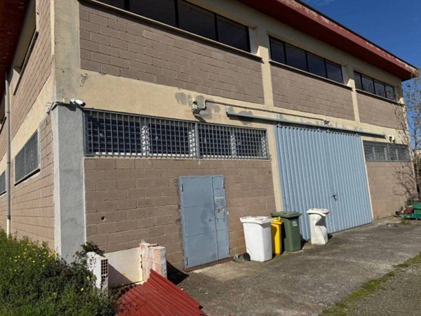 locale commerciale in affitto a Monte Compatri in zona Laghetto