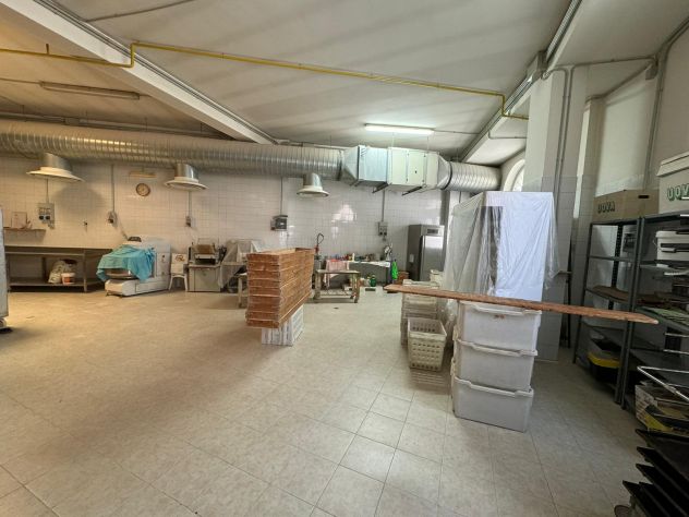 negozio in affitto a Monte Compatri