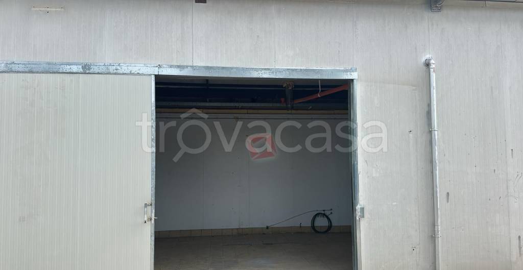 locale commerciale in affitto a Monte Compatri in zona Pantano