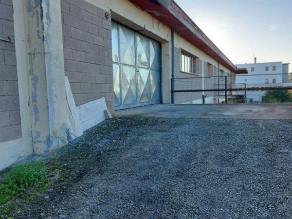 locale commerciale in affitto a Monte Compatri in zona Laghetto