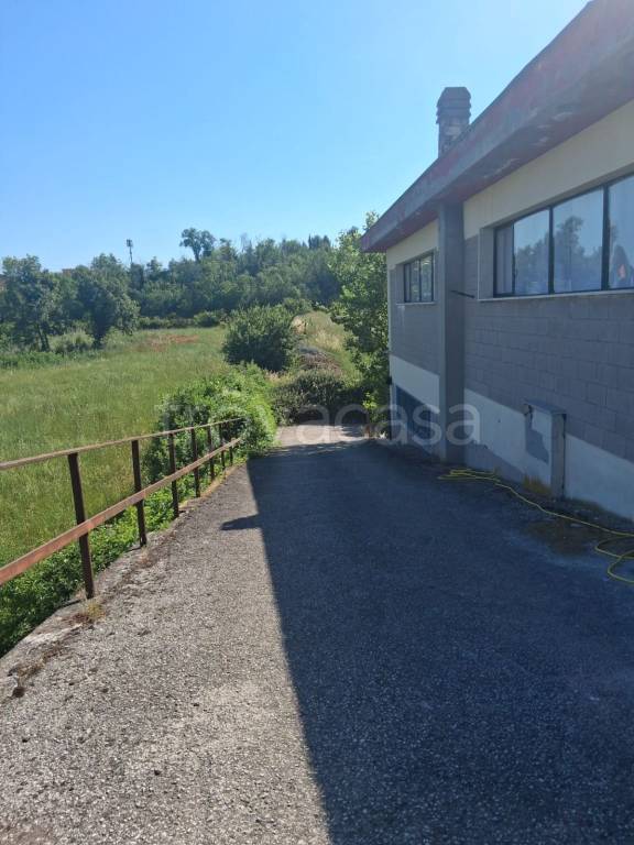 locale commerciale in affitto a Monte Compatri in zona Pantano