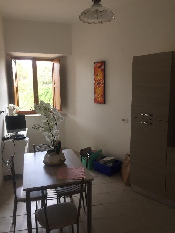 appartamento in affitto a Monte Porzio Catone
