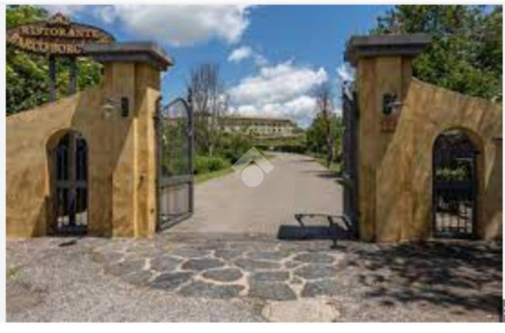 negozio in affitto a Monte Porzio Catone