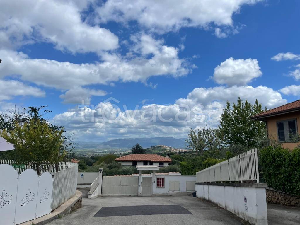 casa indipendente in affitto a Monte Porzio Catone
