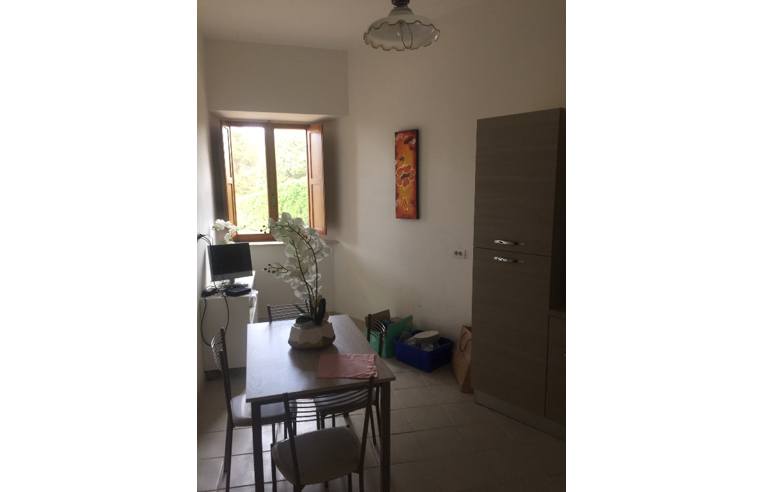 appartamento in affitto a Monte Porzio Catone