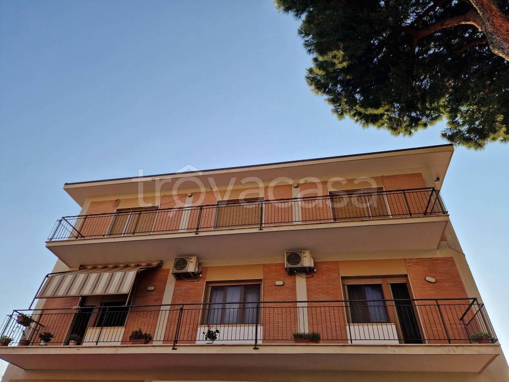 appartamento in affitto a Monte Porzio Catone