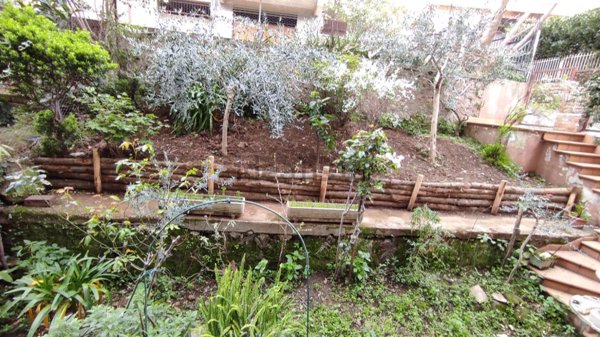 appartamento in affitto a Monte Porzio Catone