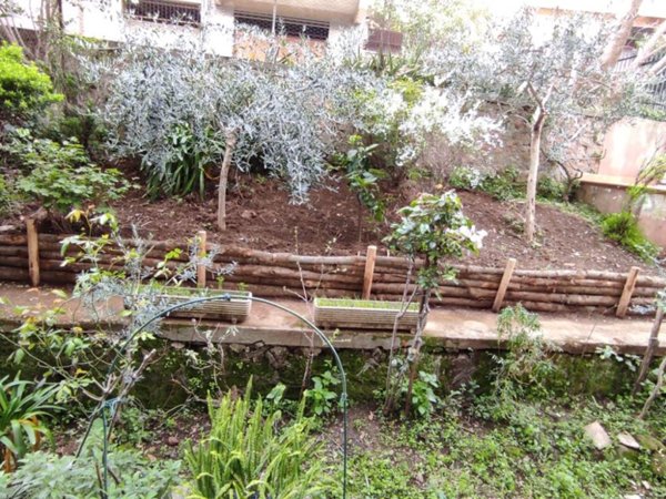 appartamento in affitto a Monte Porzio Catone