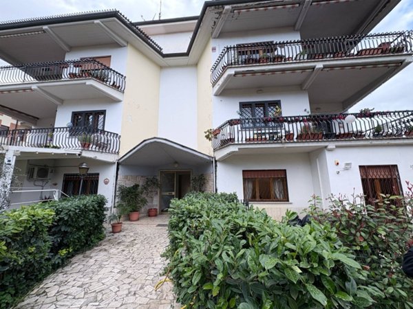 appartamento in affitto a Monterotondo
