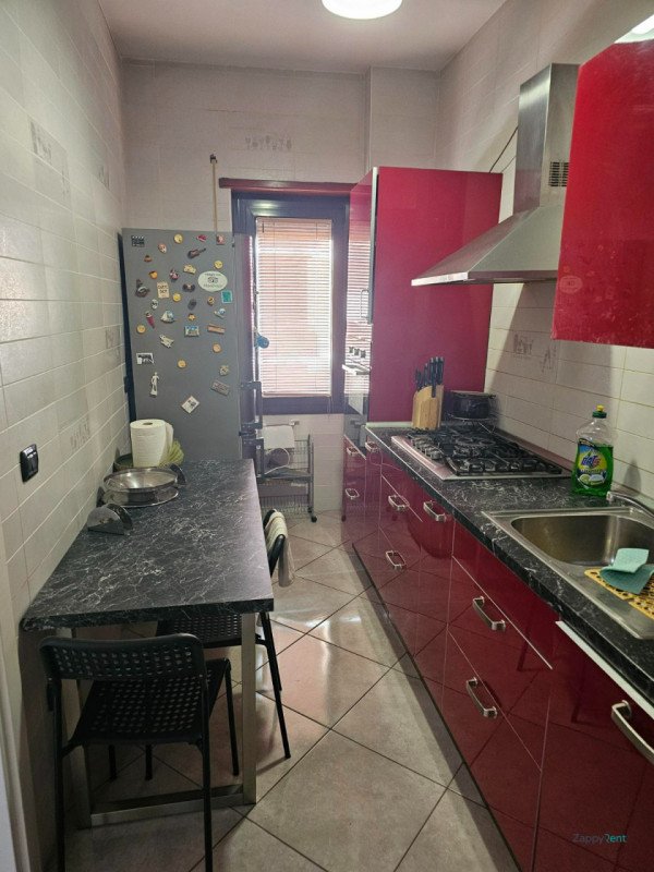 appartamento in affitto a Monterotondo