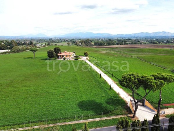 appartamento in affitto a Monterotondo
