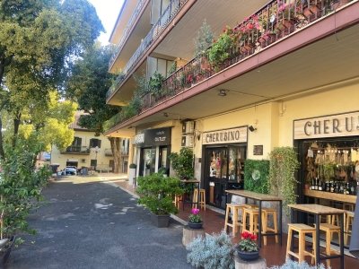 negozio in affitto a Monterotondo