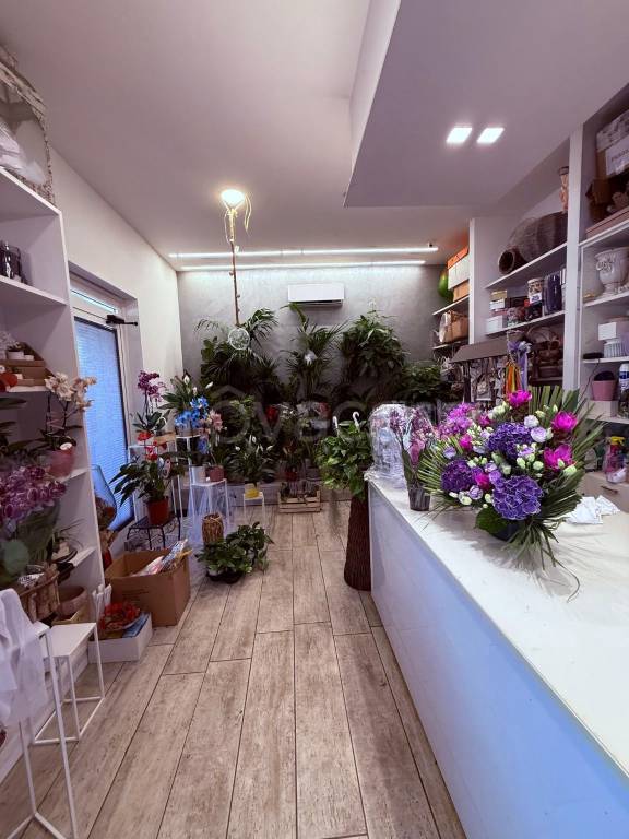 negozio in affitto a Monterotondo in zona Stazione