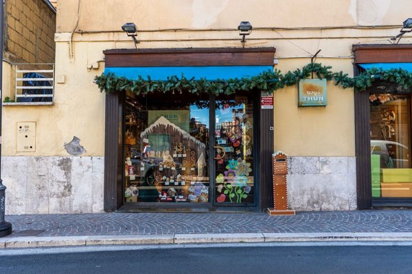 casa indipendente in affitto a Monterotondo