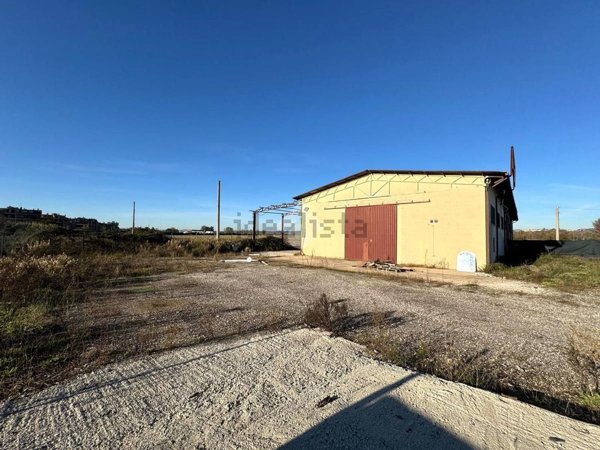 appartamento in affitto a Monterotondo