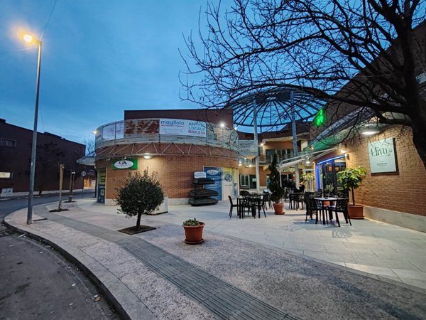 negozio in affitto a Monterotondo in zona Stazione