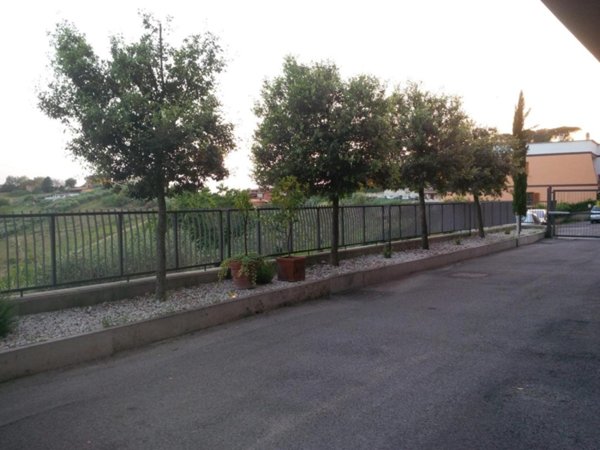 appartamento in affitto a Monterotondo