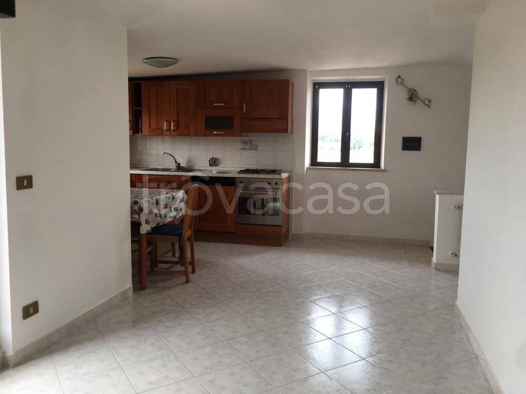 appartamento in affitto a Monterotondo